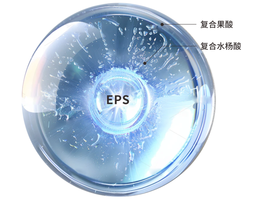 细胞2_副本.png