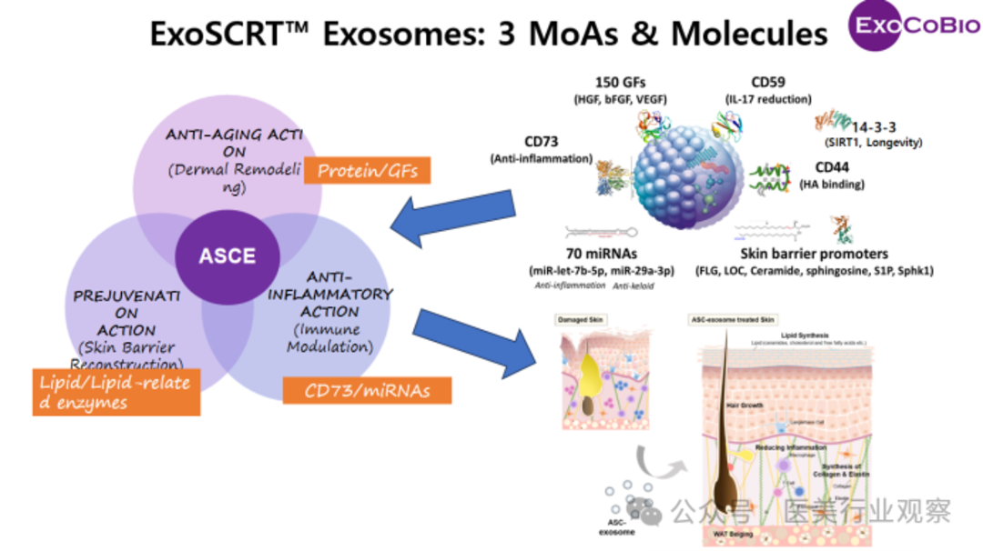 微信图片_2025-12-05_144300_877.png 微信图片_2025-12-05_144300_877.png