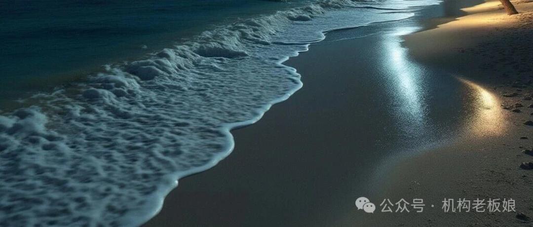 微信图片_2025-12-25_150202_009.jpg 微信图片_2025-12-25_150202_009.jpg