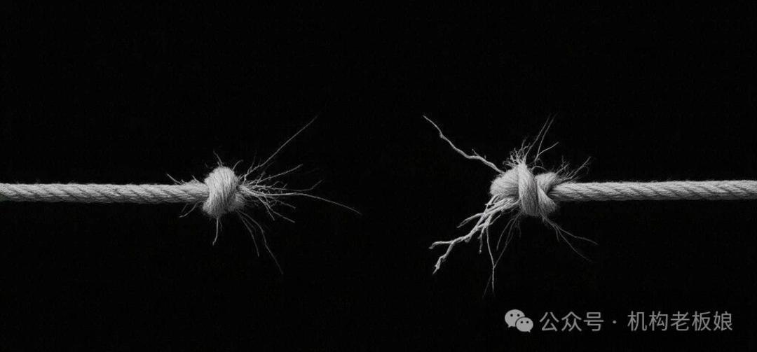 微信圖片_2026-03-03_100546_562.jpg 微信圖片_2026-03-03_100546_562.jpg