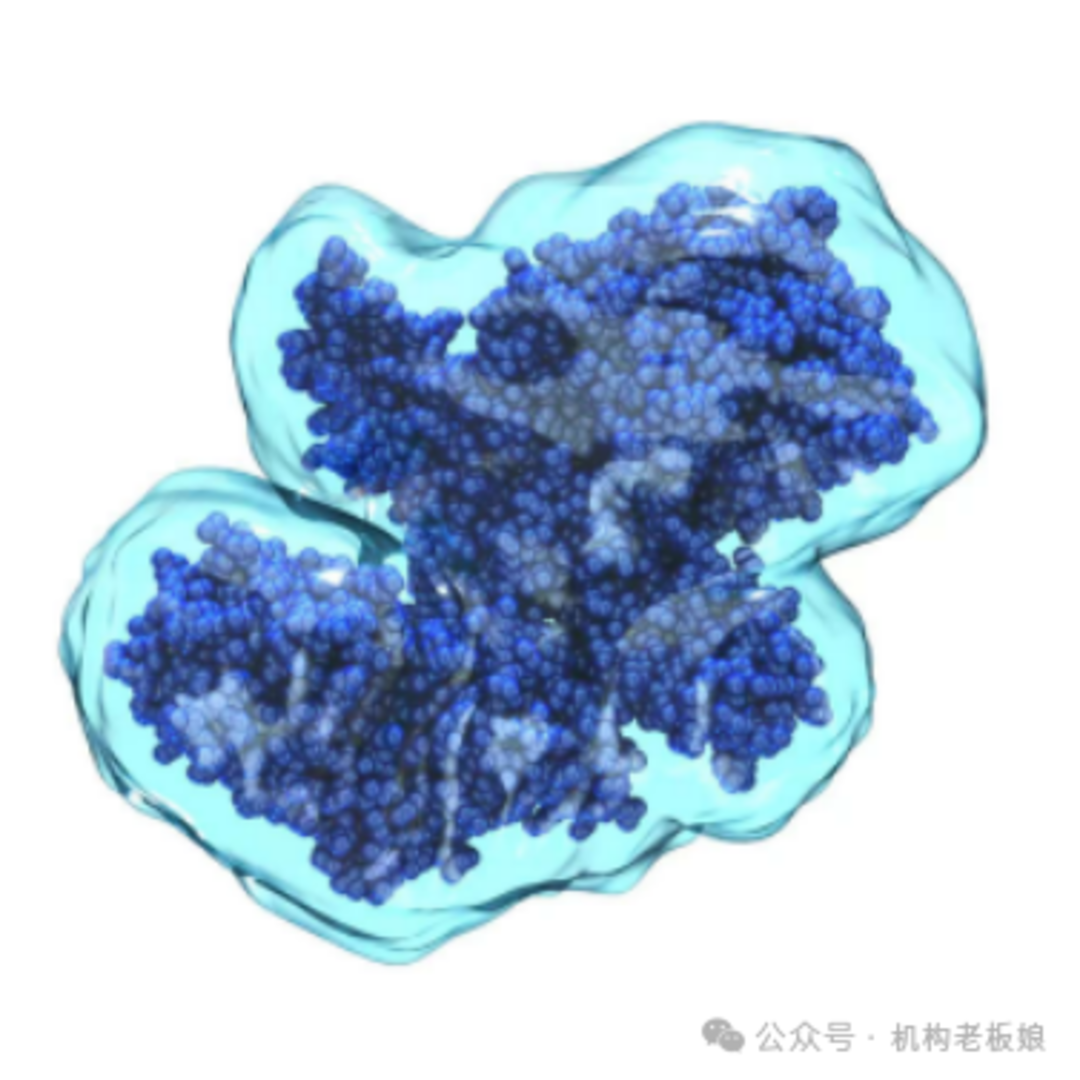 640 (2).png
